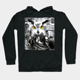 Owl Black and White Spray Paint Wall Hoodie